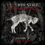 Pochette Throwing Bones (A Tribute to Skinny Puppy)
