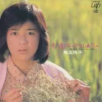 Pochette もう逢えないかもしれない