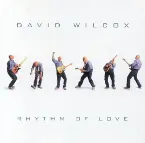 Pochette Rhythm of Love