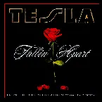 Pochette Fallin' Apart