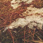 Pochette Shinrin’yoku