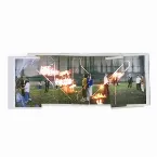 Pochette I’ll Never Love Again