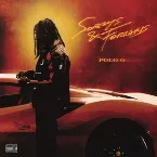 Pochette Sorrys & Ferraris