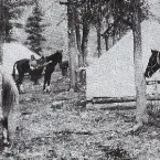 Pochette Basement Surge