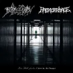 Pochette Zur Stille Finden / Live in the Morgue