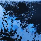 Pochette Noise of Silence