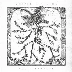 Pochette Blind Trust