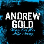 Pochette Never Let Her Slip Away