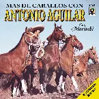 Pochette Más de caballos