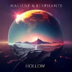 Pochette Hollow