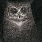 Pochette フクロウの声が聞こえる