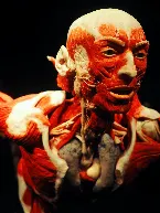 Pochette The Bleeding Biology of Our Self-Absorbed Technology