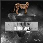 Pochette Millenium Extra