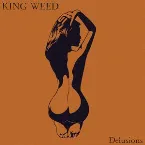 Pochette Delusions