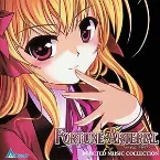 Pochette FORTUNE ARTERIAL INJECTED MUSIC COLLECTION