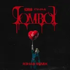 Pochette TOMBOY (R3HAB remix)
