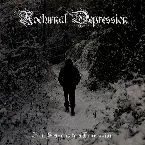 Pochette Four Seasons to a Depression