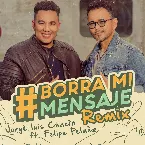 Pochette Borra mi mensaje (remix)