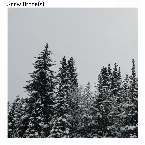 Pochette Snow Drone(s)