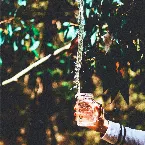 Pochette Summer Delight