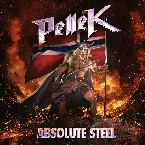 Pochette Absolute Steel