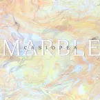Pochette Marble