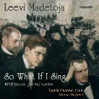 Pochette So What If I Sing