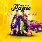 Pochette Llegan los Papis