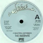 Pochette A Beautiful Experience / Love's Got a Hold on You