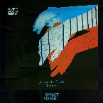 Pochette We Can Be Friends (Quiet Bison remix)