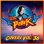 Pochette Covers, Vol. 36