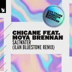 Pochette Saltwater (Ilan Bluestone remix)