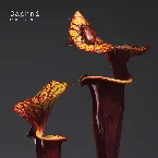 Pochette FabricLive 93: Daphni
