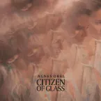 Pochette Citizen of Glass (instrumental)