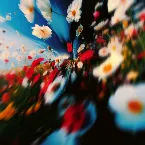 Pochette Music Is Better (remixed)