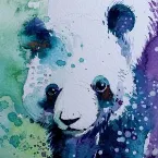 Pochette Nobody Beats the Kay