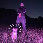 Pochette Kampfhund im Club - 2024