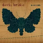 Pochette Succumb