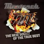 Pochette The New Sound of the True Best
