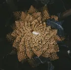 Pochette Singles 2018 - 2020