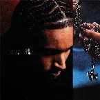 Pochette L'AFRO OU LES TRESSES