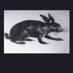 Pochette Hares & Bells