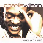 Pochette Bridging the Gap