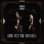 Pochette Link to the Invisible