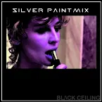 Pochette Silver Paint Mix