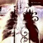 Pochette Ignite the Blood