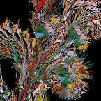 Pochette Don’t Lose Time