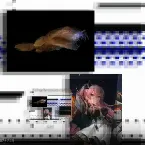 Pochette Frog flogpletuloid