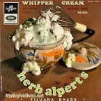 Pochette Whipped Cream