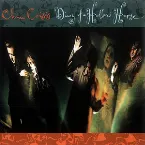 Pochette Diary of a Hollow Horse